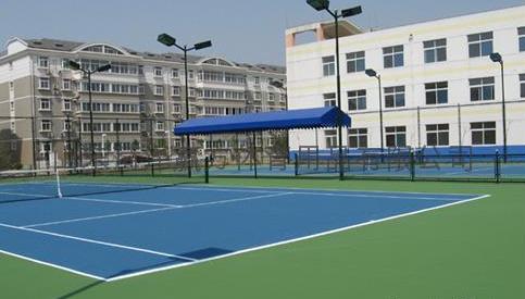 生產,銷售,工程施工為一體的專業(yè)體育場地設施營造企業(yè)