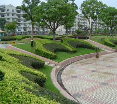 【山東泰聯(lián)集團(tuán):園林綠化建造花園水池的應(yīng)注意的幾個事項】價格,廠家,工程施工