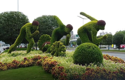 雪前雪后,帶你領(lǐng)略不一樣的南京綠雕