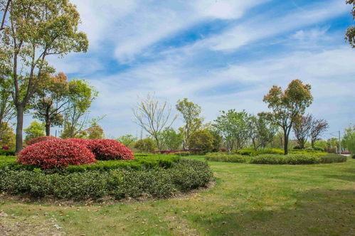 中工榜 公示 忻州市園林綠化工程公司優(yōu)秀企業(yè)推薦