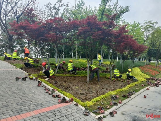 天府黃、錦官橙、太陽神鳥 成都三環(huán)路換上了新裝你注意到了嗎