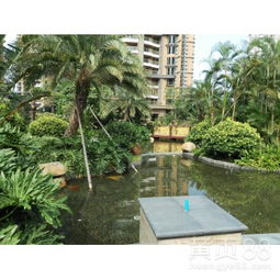 【工廠綠化養護、學校綠化養護、小區綠化養護修剪、園林綠化施工】-