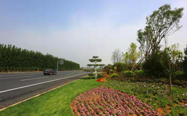 【聚焦發展瞰章丘】系列報道園林和林業綠化局:讓生態文明建設成果全民共享