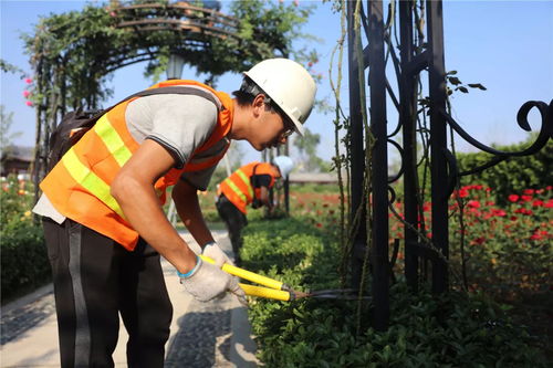 盛夏果實(shí),不負(fù)光陰 人文園林綠化施工實(shí)操技能培訓(xùn)圓滿(mǎn)完成