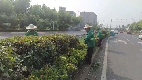 區(qū)園林綠化維護(hù)中心 天心區(qū)政府門戶網(wǎng)站