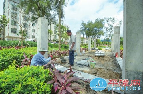 平潭東門社區綠化改造 雞棚鴨舍變成了公園