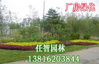 上海優(yōu)質(zhì)廠區(qū)綠化服務(wù)與園林綠化工程施工指南